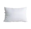 pillow-2.webp