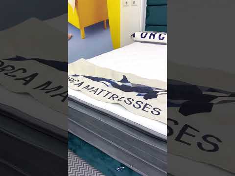 youtube - [Video]