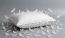 08 _ Natural Ostrich Feather Pillow | 50 × 70 cm 2.webp